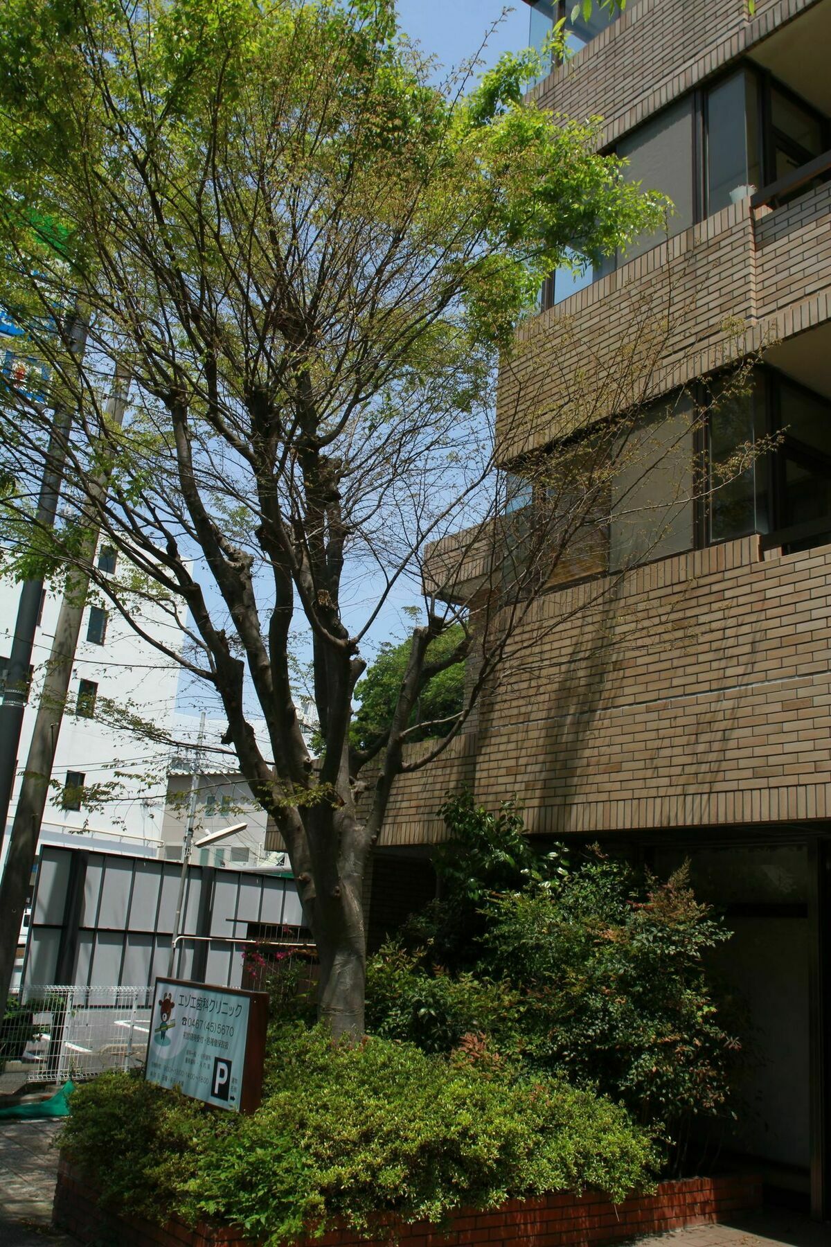 Guest House Dohei Kamakura Ngoại thất bức ảnh